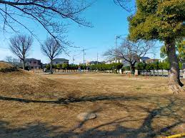 新立公園の画像1