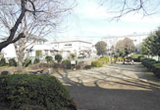 荒井公園の画像1