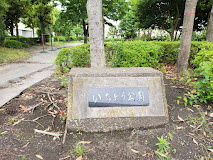 いちょう公園の画像1
