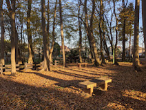 花崎城山公園