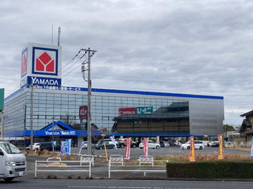 ヤマダ電機の画像1