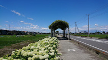 騎西中央公園