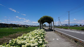 騎西中央公園の画像1
