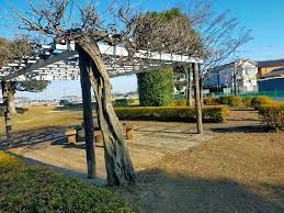 大道公園の画像1