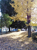 元町裏公園
