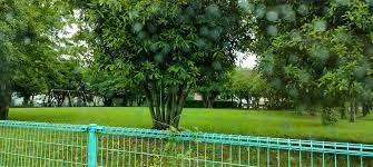 新田裏公園の画像1