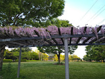 藤ノ木公園