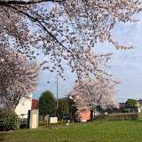 川口北公園の画像1