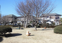 南団地東三角公園