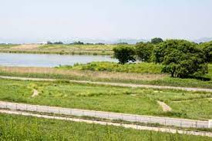 利根川河川敷緑地公演