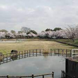 豊野台公園