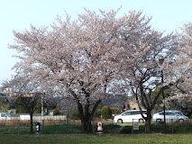 富士見台公園の画像1