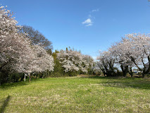 台山公園の画像1