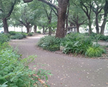 公園 芝公園 6号地