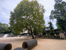 槇塚らくだ公園