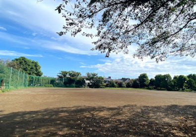 柴崎公園の画像1