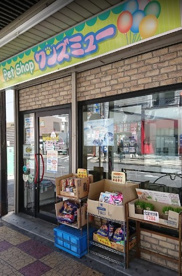 犬猫の美容室ホテルワンズミューの画像1