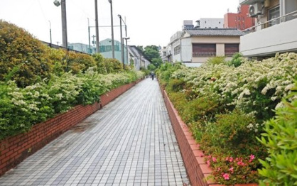 桃園川緑道の画像1