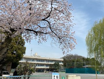 さいたま市立片柳小学校の画像1