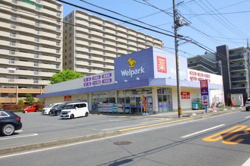 の画像