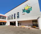明星幼稚園