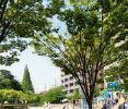 桃ケ池公園の画像1