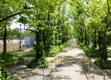 泉尾公園の画像1