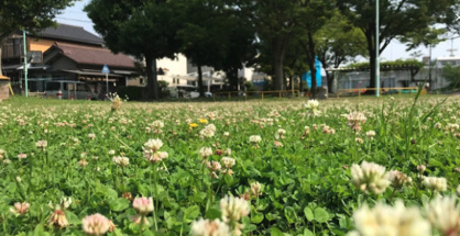 鶴里公園の画像1