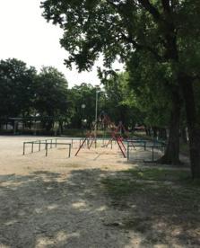 中江公園の画像3