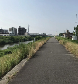 中江公園の画像5