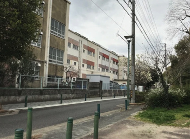 中島公園の画像4