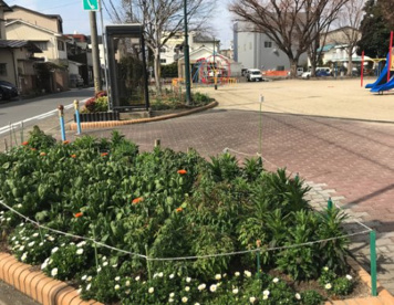沖田公園の画像4