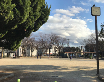 上野公園の画像1