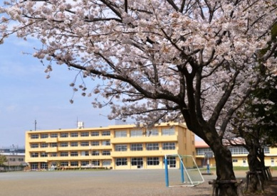 海老名市立社家小学校の画像1