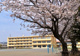 海老名市立社家小学校の画像