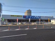 コーナン PRO(プロ) 高知青柳店