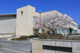 京山中学校の画像