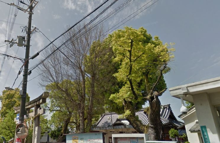 の画像