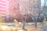 グランデュール鴨川Ⅲ番館 児童公園