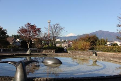大谷近隣公園の画像1