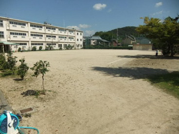 三勲小学校の画像1