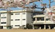 宇野小学校の画像