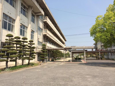 幡多小学校の画像1