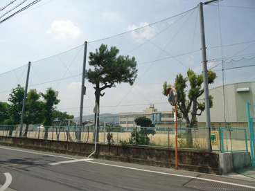 高島小学校の画像1
