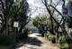 大府市立吉田小学校の画像
