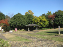 県立座間谷戸山公園