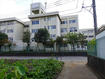 海老名市立杉本小学校の画像1