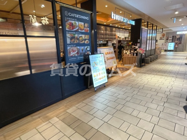 kawara CAFE&DINING KITTE博多店の画像2