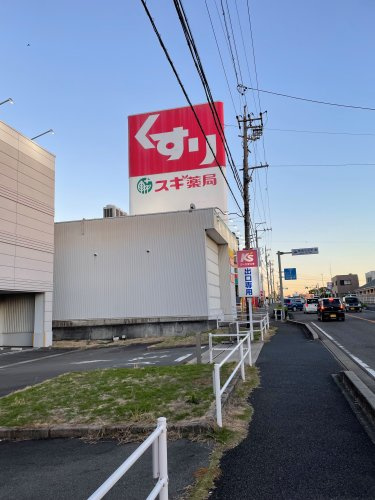 の画像