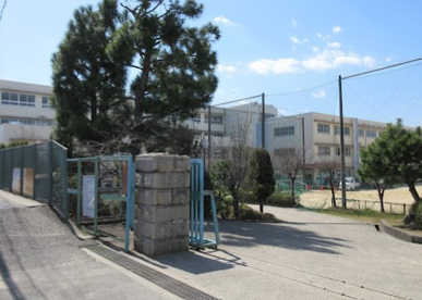 津田中学校の画像1